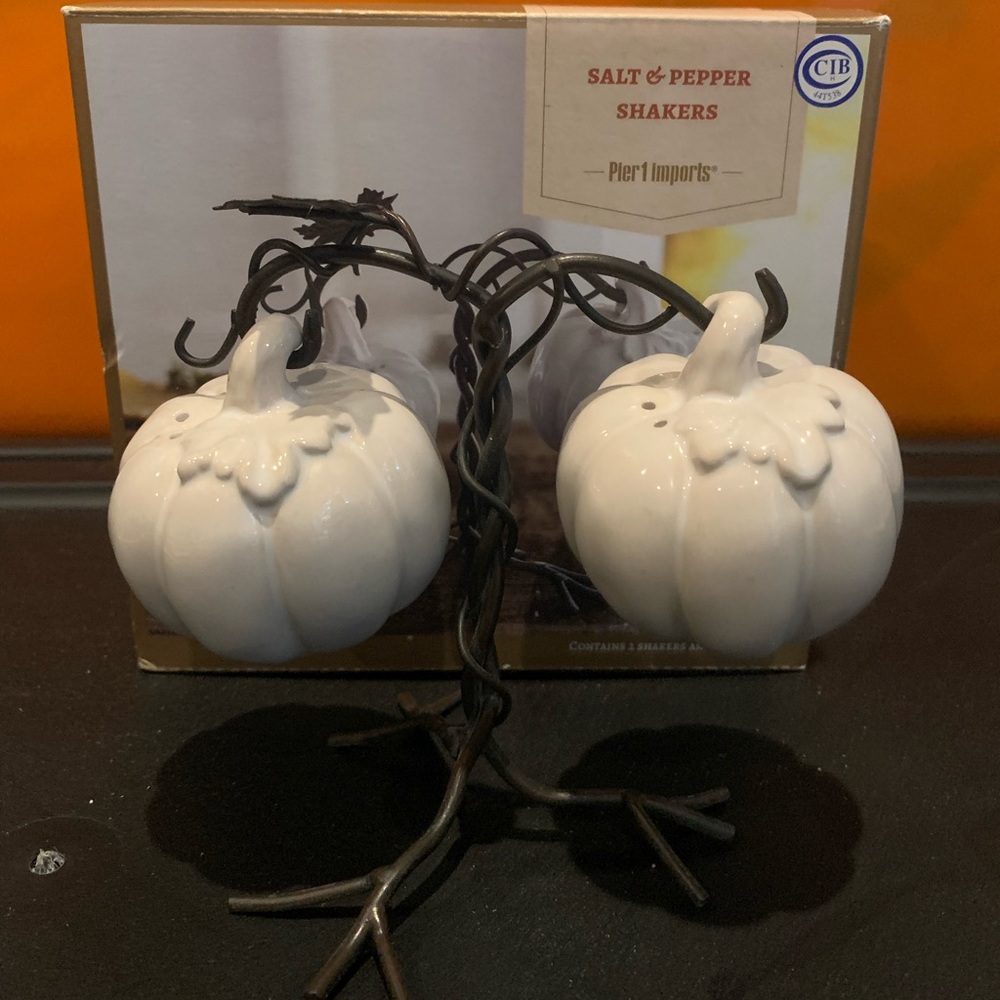 Pier 1 Pumpkin Salt Pepper Shakers Hanging Vine Stand Fall Autumn Thanksgiving